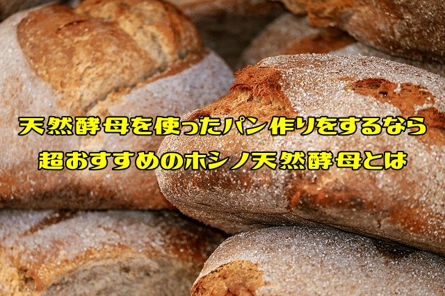 天然酵母を使ったパン作りをするなら超おすすめのホシノ天然酵母とは ブログで学ぶパン作りbyパン職人ken